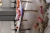 Feira de Arte e Literatura 2017