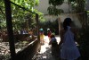 Passeio Geral 2017.2
