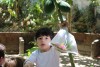 Passeio Geral 2017.2