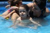 Passeio Geral 2017.2