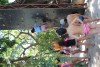 Passeio Geral 2017.2