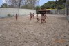 Passeio Geral - Pequenos