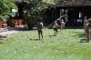 II Passeio Geral