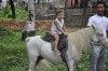 Passeio Geral
