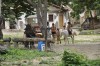 Passeio Geral