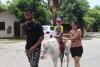 Passeio Geral 2017.1