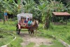 Passeio Geral 2017.1